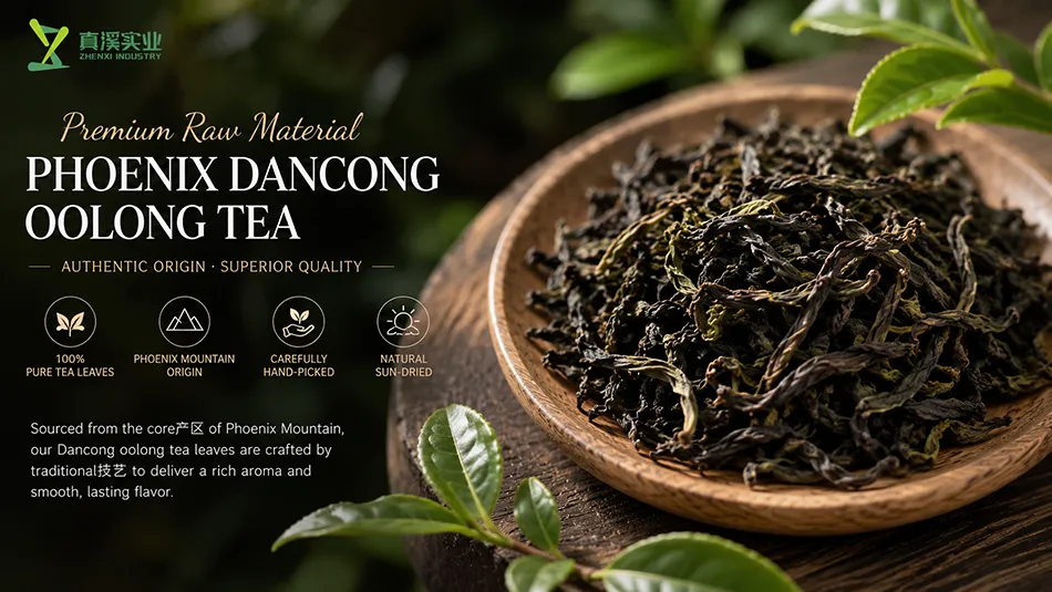 Authentic Phoenix Dancong oolong tea leaves from Fenghuang Mountain