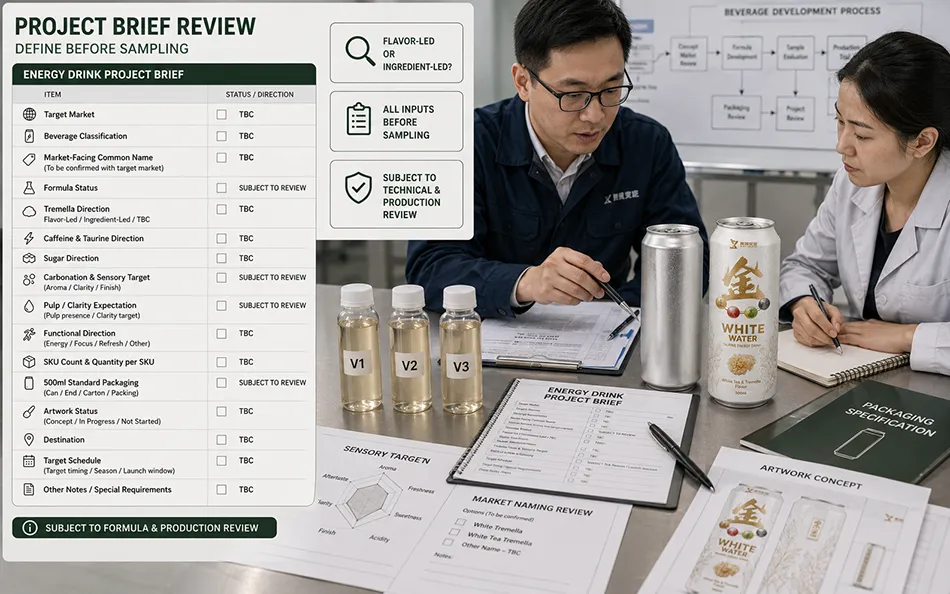500ml Standard White Tea Tremella energy drink project brief review for OEM project review