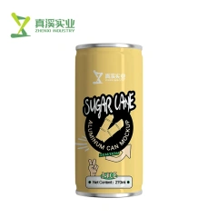 270ML ZhenXi Organic 100% Suger Cane Juice With Pulp Wholesale