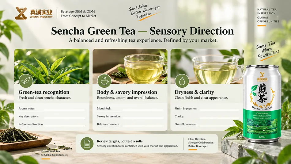 Sencha Green Tea sensory review covering green-tea recognition, body & savory impression, dryness & clarity