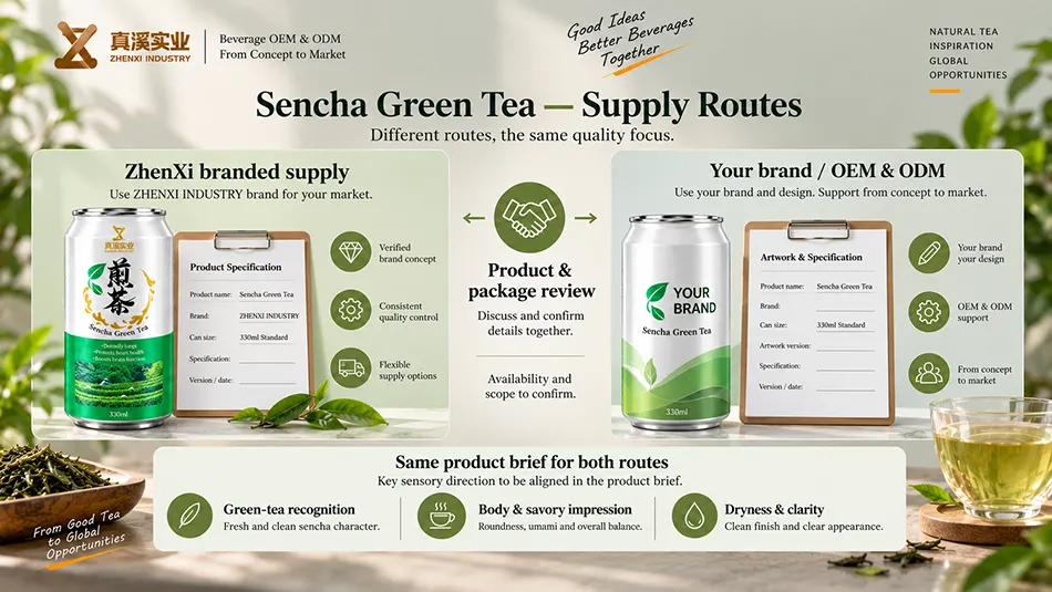 ZhenXi branded supply and private-label project routes for Sencha Green Tea