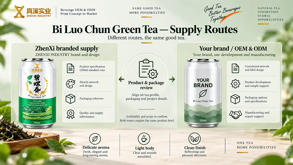 ZhenXi branded supply and private-label project routes for Bi Luo Chun Green Tea