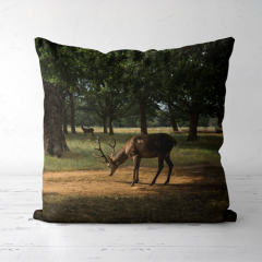 Pillow,yourdyesub.com,