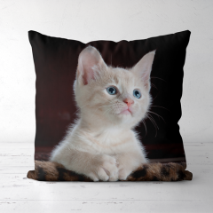 Pillow,yourdyesub.com,