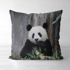 Pillow,yourdyesub.com,Order pillow case with sublimation logo from yourdyesub.com | free artwork service