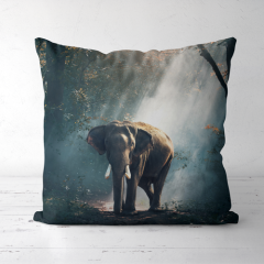 Pillow,yourdyesub.com,