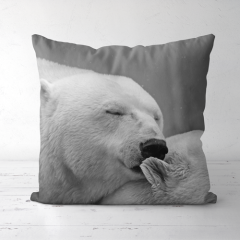Pillow,yourdyesub.com,
