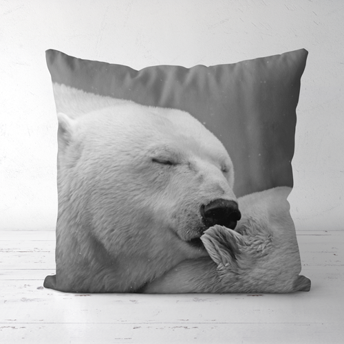 Pillow,yourdyesub.com