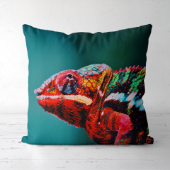 Pillow,yourdyesub.com,Order pillow case with sublimation logo from yourdyesub.com | free artwork service