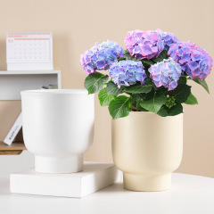 Ceramic plant pot with matte glaze