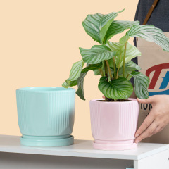 3PCS set ceramic planter pots
