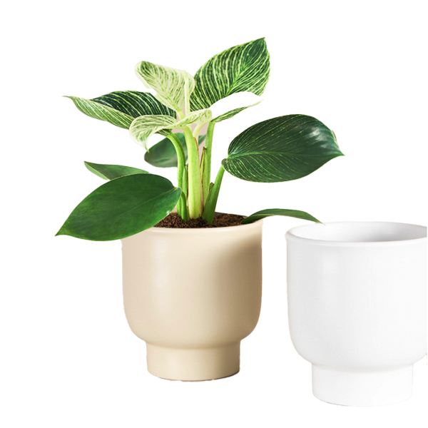Ceramic plant pot with matte glaze