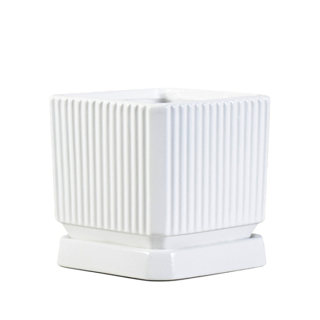 Square Ceramic planter with saucer