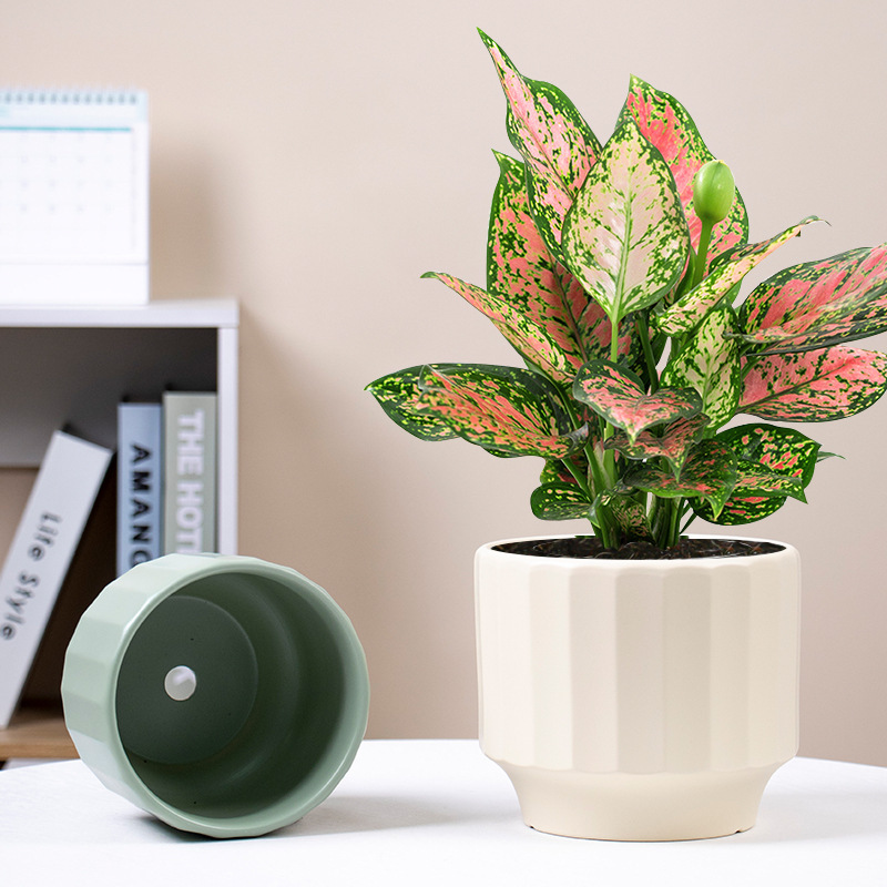 3PCS set ceramic planter pots