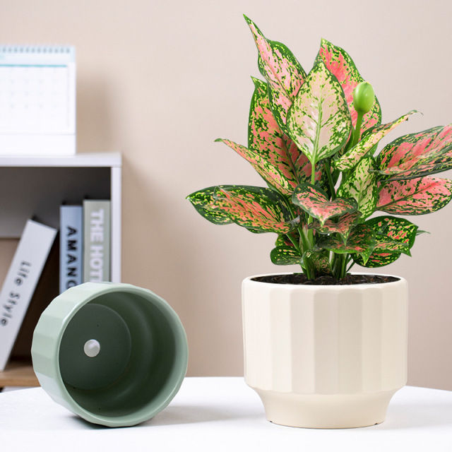 3PCS set ceramic planter pots