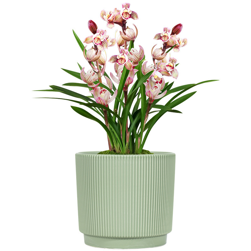 3PCS set fluted ceramic planter pots