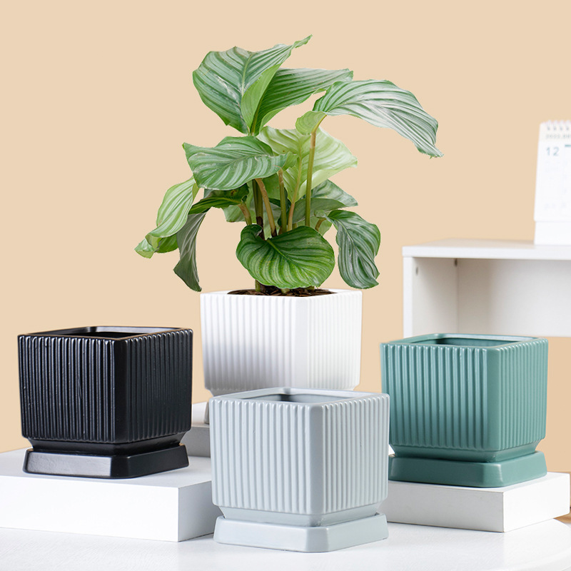 Square Ceramic planter with saucer