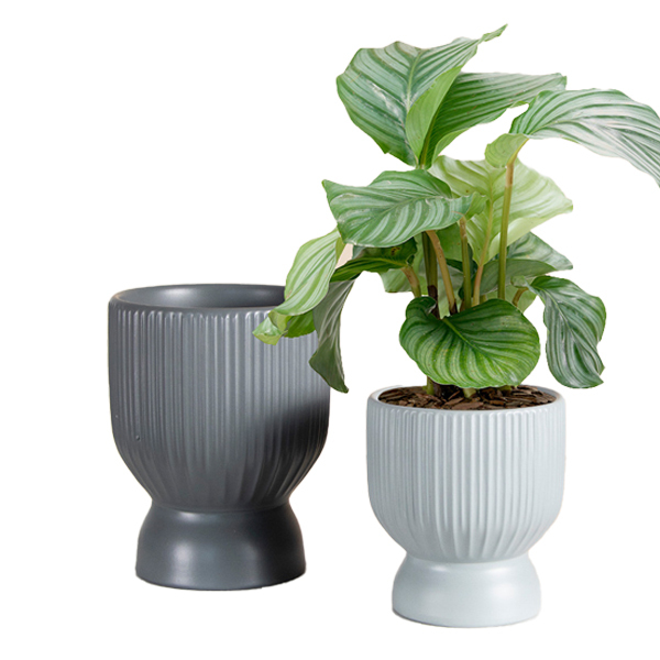Matte glaze ceramic planter