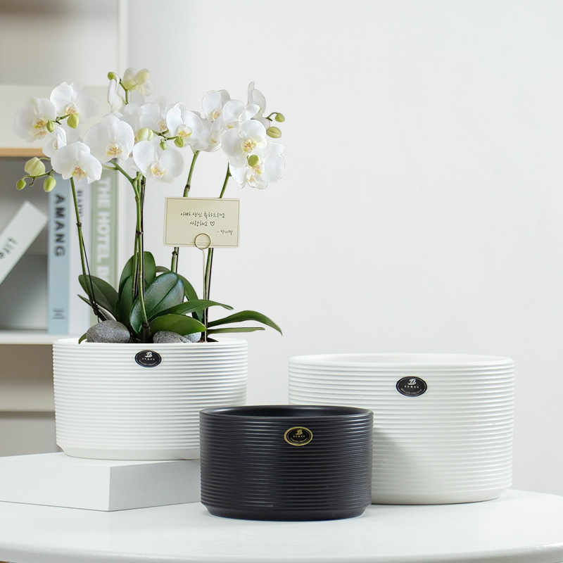 3PCS set ceramic planter pots