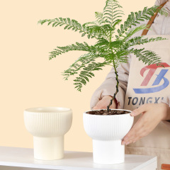 3PCS set Ceramic planters with textured design