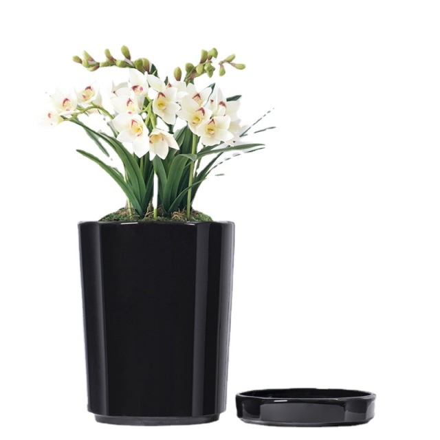 Set of 3 ceramic planter pots with saucers