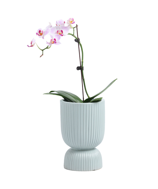 Unique design ceramic planter pot