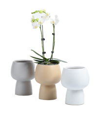Unique design matte ceramic plant pot