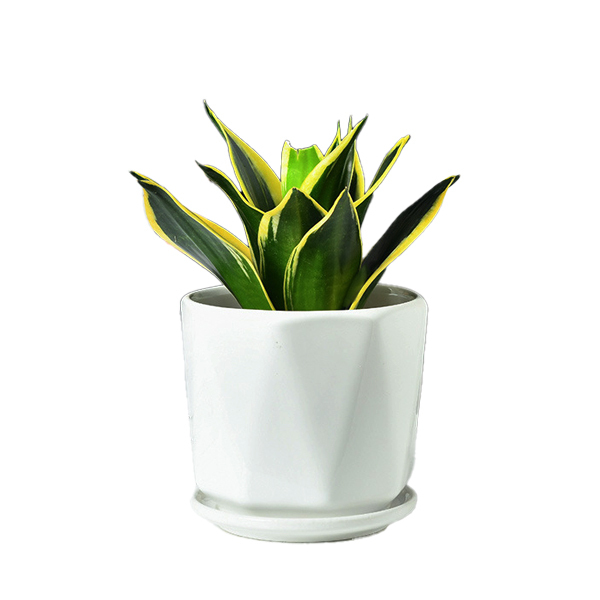 3PCS set ceramic planter pots with geometry design
