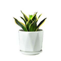 3PCS set ceramic planter pots with geometry design