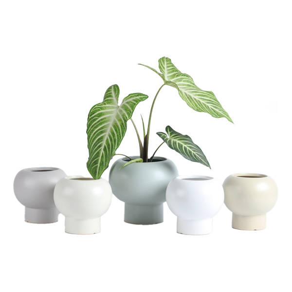 Ceramic round planter pots in matte glaze