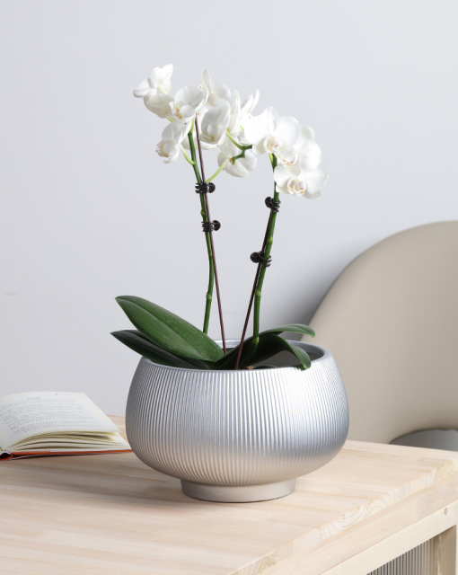 Matte glazed ceramic plant pot with fluted design