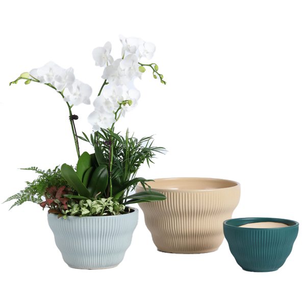 3PCS set bowl shaped ceramic planter pots