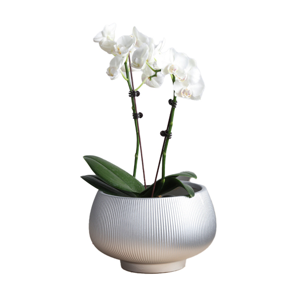 Matte glazed ceramic plant pot with fluted design