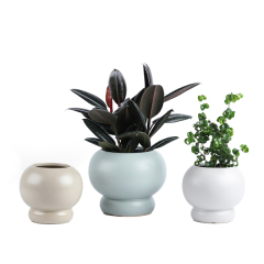 Ceramic round planter pots in matte glaze
