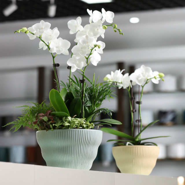 3PCS set bowl shaped ceramic planter pots
