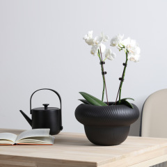 Unique design ceramic planter pot in matte glaze