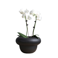 Unique design ceramic planter pot in matte glaze