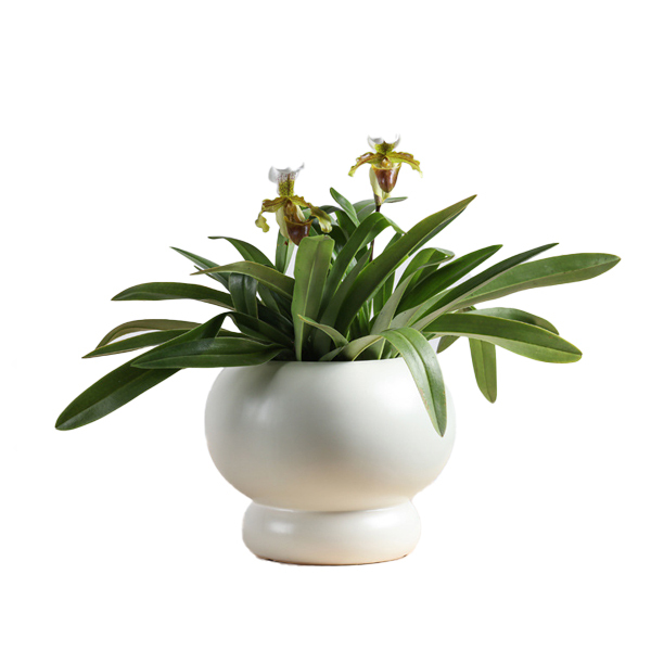 Ceramic round planter pots in matte glaze