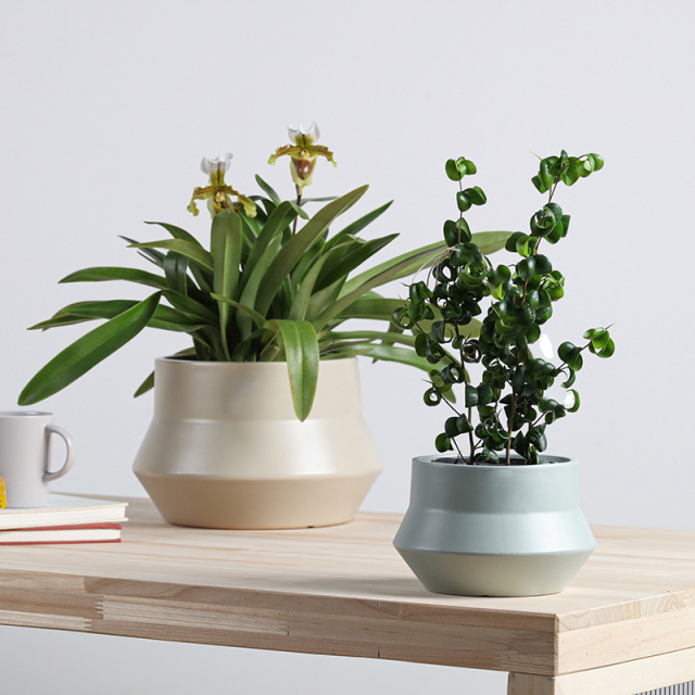 3PCS set ceramic planter pots