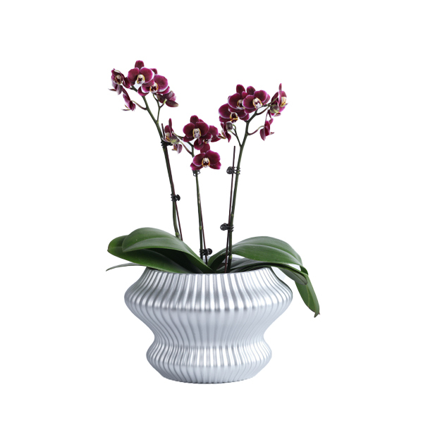 Unique design colored ceramic planter pot in matte glaze