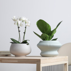 Unique design colored ceramic planter pot in matte glaze