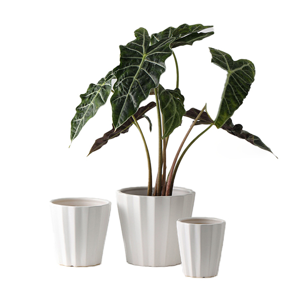 3PCS set texured ceramic planter pots with matte color