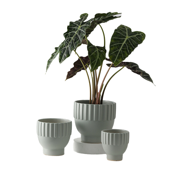 3PCS set texured ceramic planter pots in matte glaze