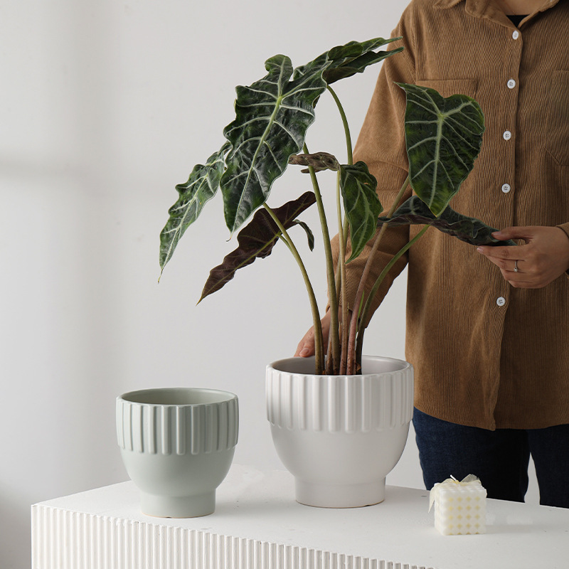 3PCS set texured ceramic planter pots in matte glaze