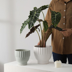 3PCS set texured ceramic planter pots in matte glaze