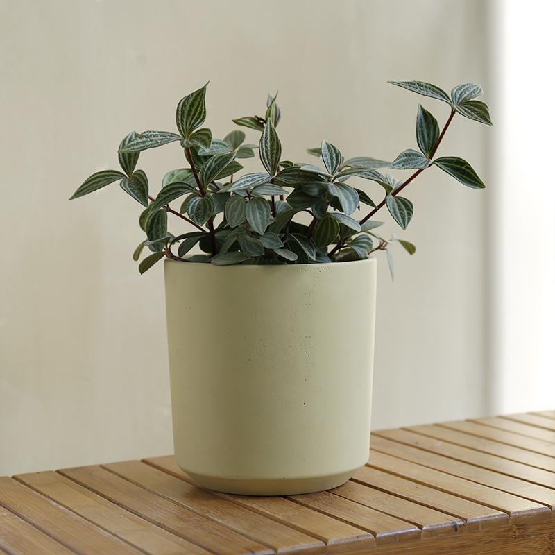 JL9001 Classic designed pastel colors cement pots and planters