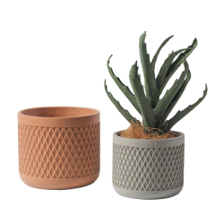 JYW006 Textured design concrete plant pots with matte color