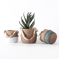 JYW017 Hanging cement planter with rope