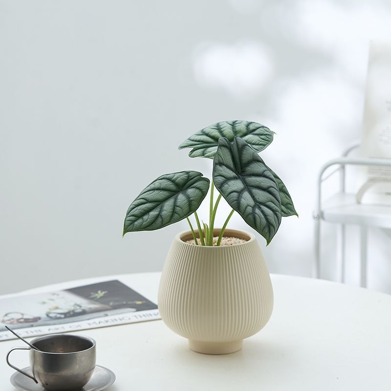JLYF3919 Fluted design ceramic plant pot for indoor use