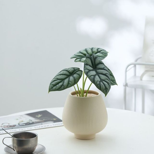 JLYF3919 Fluted design ceramic plant pot for indoor use